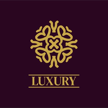 Mandala Geometric ornament logo Elegant premium icon vector design