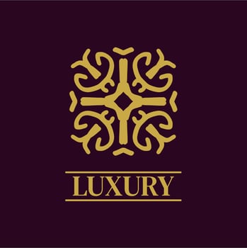 Mandala Geometric ornament logo Elegant premium icon vector design