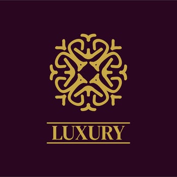 Mandala Geometric ornament logo Elegant premium icon vector design