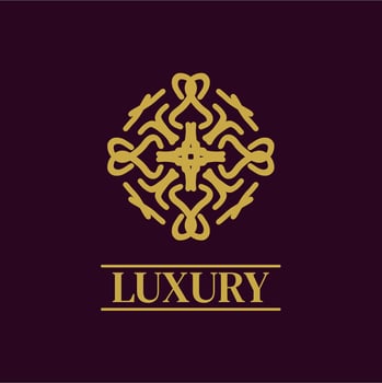 Mandala Geometric ornament logo Elegant premium icon vector design
