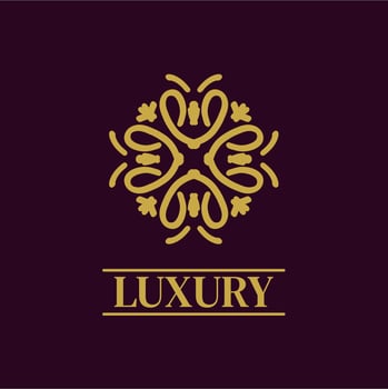 Mandala Geometric ornament logo Elegant premium icon vector design