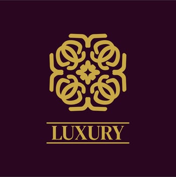 Mandala Geometric ornament logo Elegant premium icon vector design