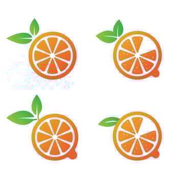 orange fruit icon vector