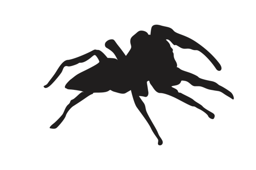 Animal-Insect-Spider Silhouette Pattern Background png