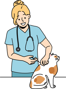 Woman veterinarian inoculates cat to protect pet from dangerous viruses and bacteria png