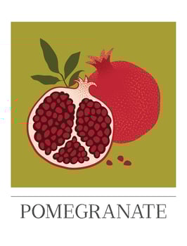 Pomegranate fruits poster. Organic Healthy Food. Hand-drawn design for cards, posters, wall art, print, packaging design, covers, and banners. Modern simple vector flat illustration.