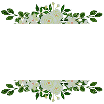 Invitation frame with watercolor floral frame clipart.Botanical spring flower illustration hand painted border png