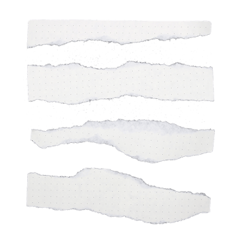 Pieces of torn paper on transparent background png file