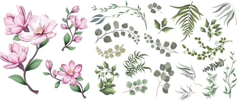 Mix of herbs and plants vector big collection. Green plants and leaves. All elements are isolated. A branch of pink magnolia, sakura.