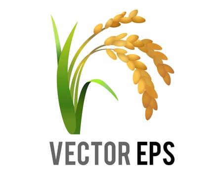 Vector rice plant icon, represent wheat, corn, oats, sorghum, crops, field,  harvests and farming