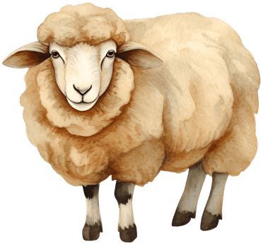 Sheep. AI Generative png