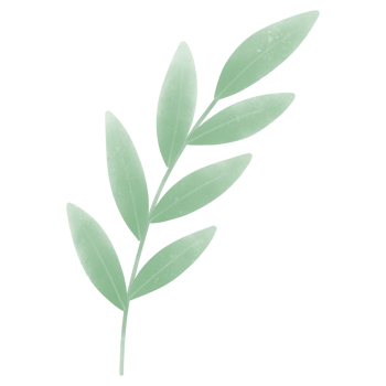 green leaf nature png