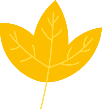 leaf flower isolated plant png