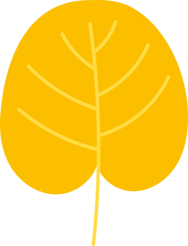 leaf flower isolated plant png