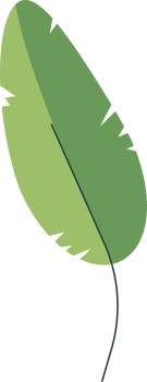 leaf flower isolated plant png