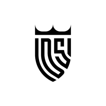 DS crown shield initial luxury and royal logo concept vector
