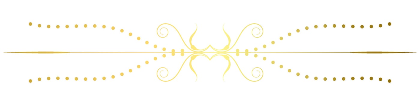 vintage lines decorative s Golden flower border collection vector