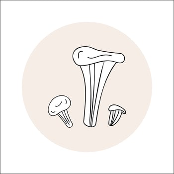 oyster mushrooms line icon black outline in circle. Vector illustration isolated in doodle style.