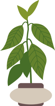 plant flower leaves pot png