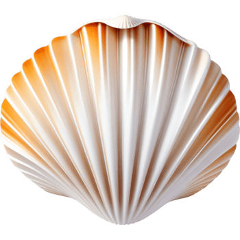 Closed white seashell. AI Generative png