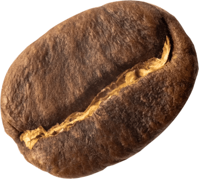 isolated coffee beans cut out on transparent background. png