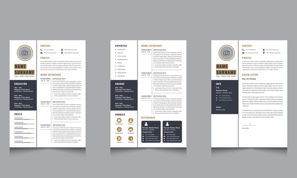 Resume Design Template CV Design Template vector