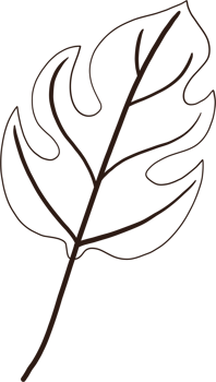 Simplicity autumn leaf freehand drawing. png