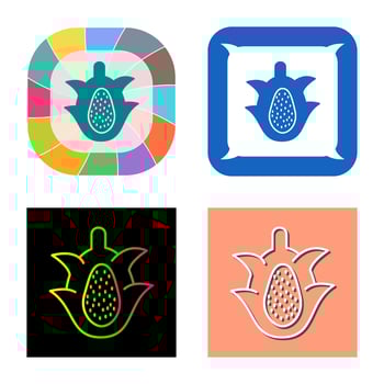 Dragon Fruit Vector Icon
