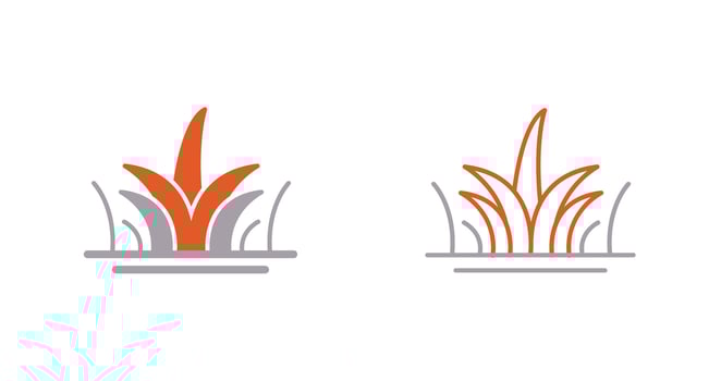 Grass Vector Icon