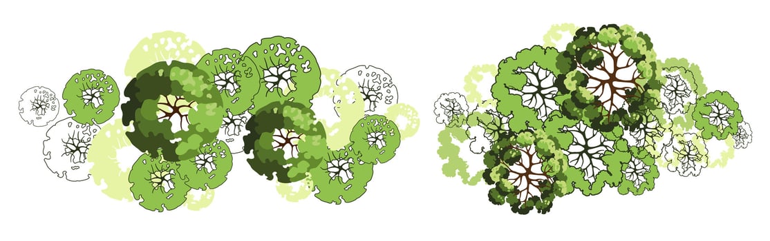Tree for architectural floor plans. Entourage design. Various trees, bushes, and shrubs, top view for the landscape design plan. Vector illustration.