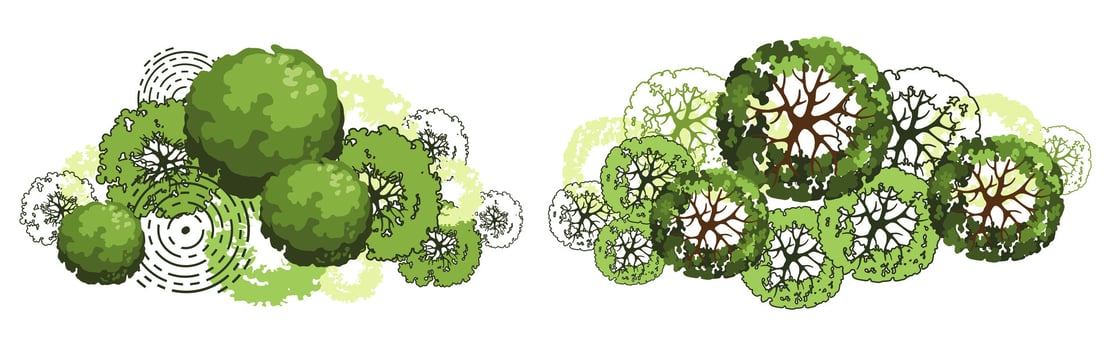 Tree for architectural floor plans. Entourage design. Various trees, bushes, and shrubs, top view for the landscape design plan. Vector illustration.