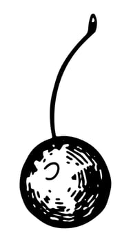 Cherry fruit clipart. Summer harvest doodle. Hand drawn vector illustration. Retro engraving style drawing isolated on white.
