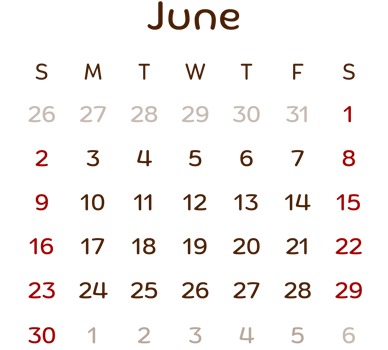 2024 Calendar, illustration. png
