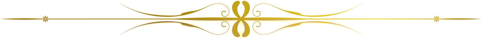 vintage lines decorative s Golden flower border collection vector