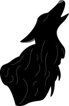 A howling wolf vector or color illustration