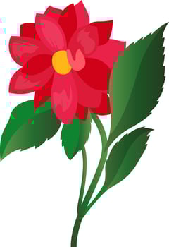 Vector illustration of bright pink dahlia flower with green leafs on white background.