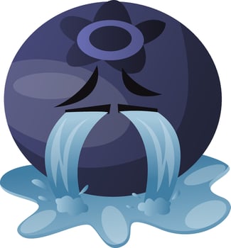 Blueberry crying illustration vector on white background