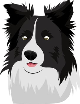 Border Collie illustration vector on white background
