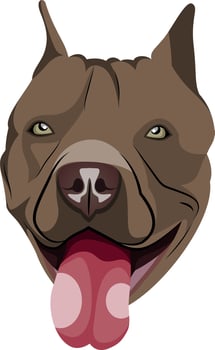 Pitbull illustration vector on white background