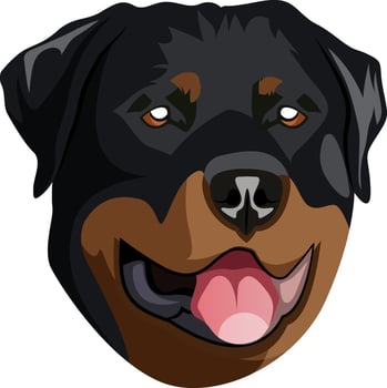 Rottweiler illustration vector on white background