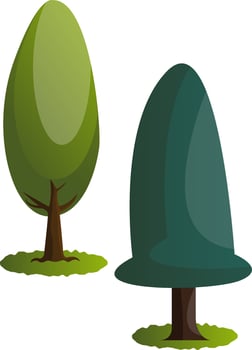 Couple of green trees vector illustration on white background