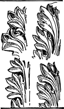 Acanthus Leaves an ornament may be carved into stone vintage engraving. vector