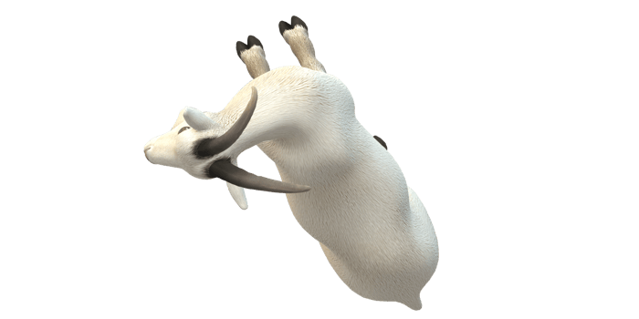 Goat isolated on a Transparent Background png