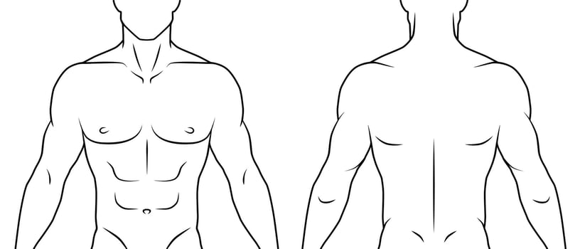Human body front and back. Black and white outline. White background. vector