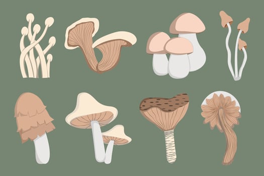 vector design with various shapes of wild mushrooms