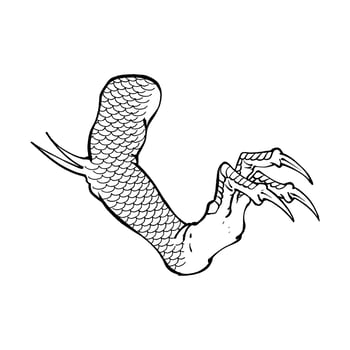 the line art dragon attack hand vector