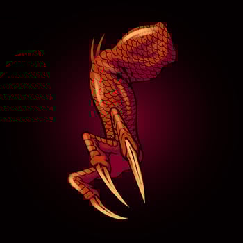 premium vector dragon hand element asset