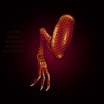premium vector dragon kick element