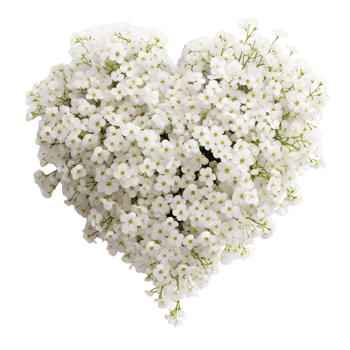 AI generated Heart shaped wreath png