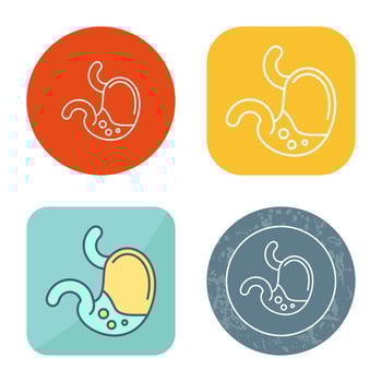 Stomach Vector Icon